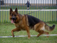 /album/fotogaleria/hery-super-jpg/